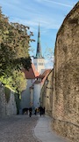Baltics 2026 holiday photo