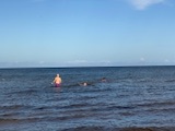 Baltics 2026 holiday photo