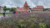 Baltics 2026 holiday photo